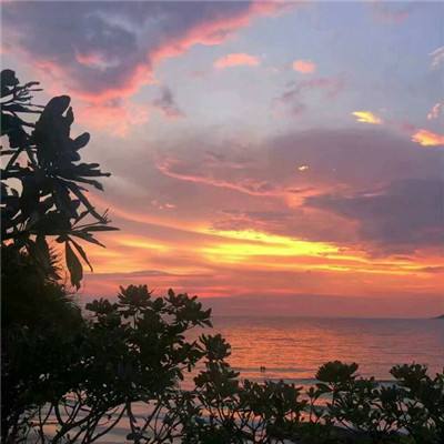 信达证券研究所所长被女下属实名举报猥亵，女方：已在公安局完成详细笔录，公司：正在核实，暂无停职通知